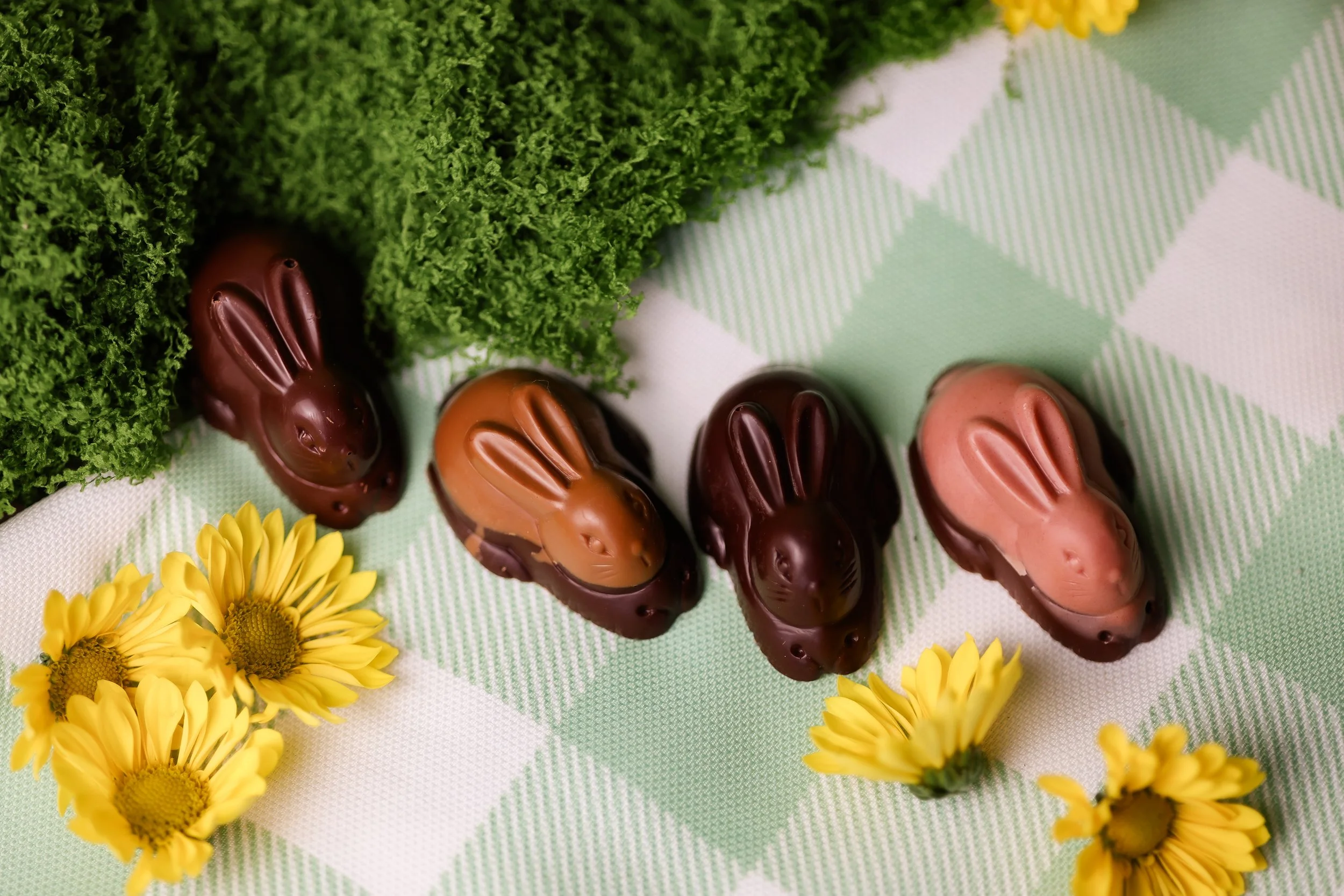Solid Bunny Box — Videri Chocolate Factory